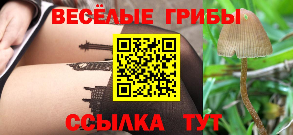 Меф кристаллы  МАРИХУАНА  ГАШИШ  Вход с VPN  Вольск  МЕФ 
