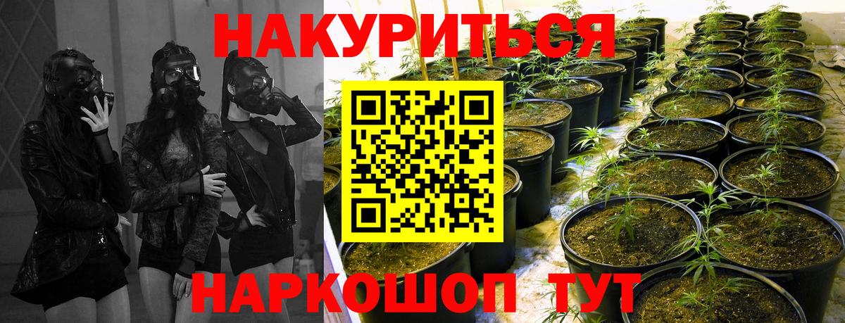 Бошки Шишки SATIVA & INDICA  Бошки Шишки LSD WEED  Вольск  Вход с VPN  Бошки марихуана VHQ 